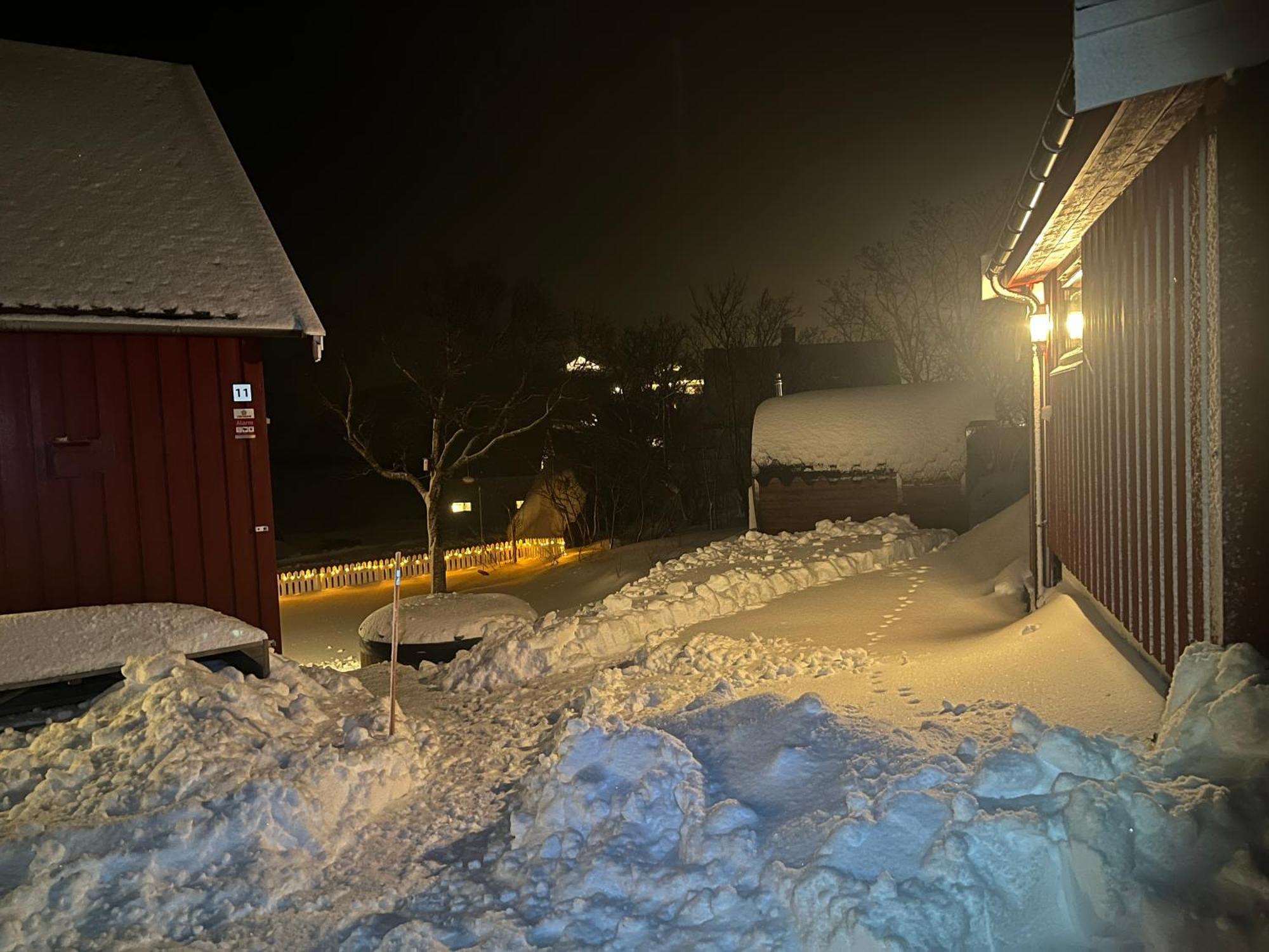 Villa Reinefjord Panorama Moskenes Exterior foto